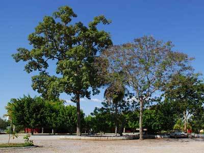 Hotel Fazenda Do Bertione Miranda Luaran gambar