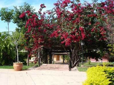Hotel Fazenda Do Bertione Miranda Luaran gambar